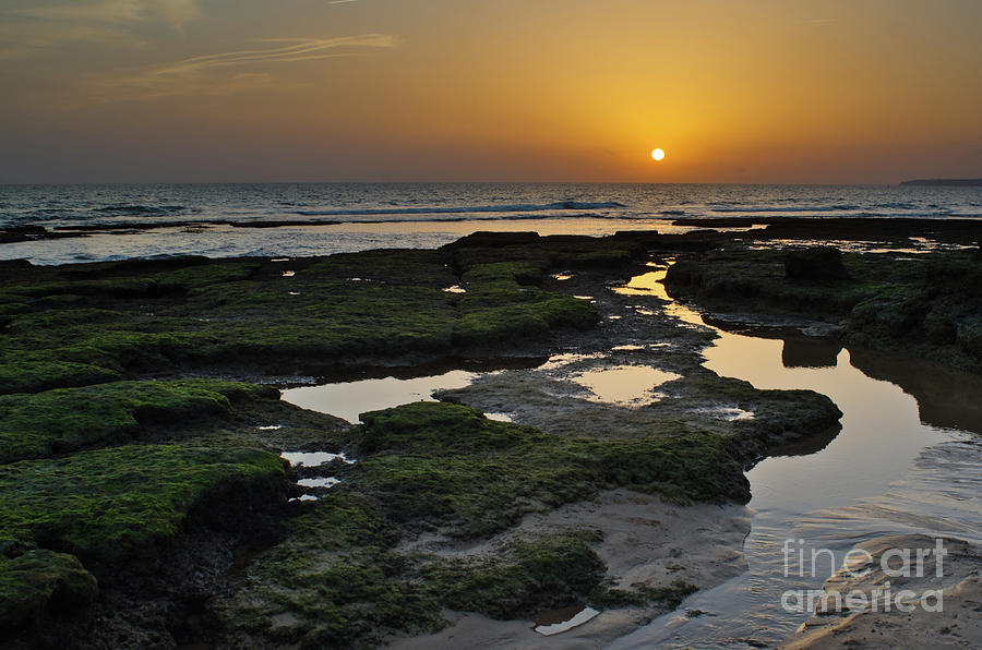 Summer Sunsets in Gale Beach by Angelo DeVal Summer Sunsets in Gale Beach by Angelo DeVal