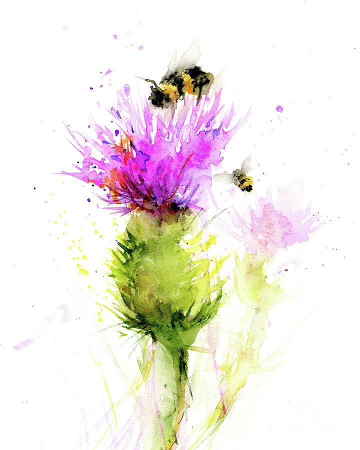 Summer Thistle Painting by Christy Lemp