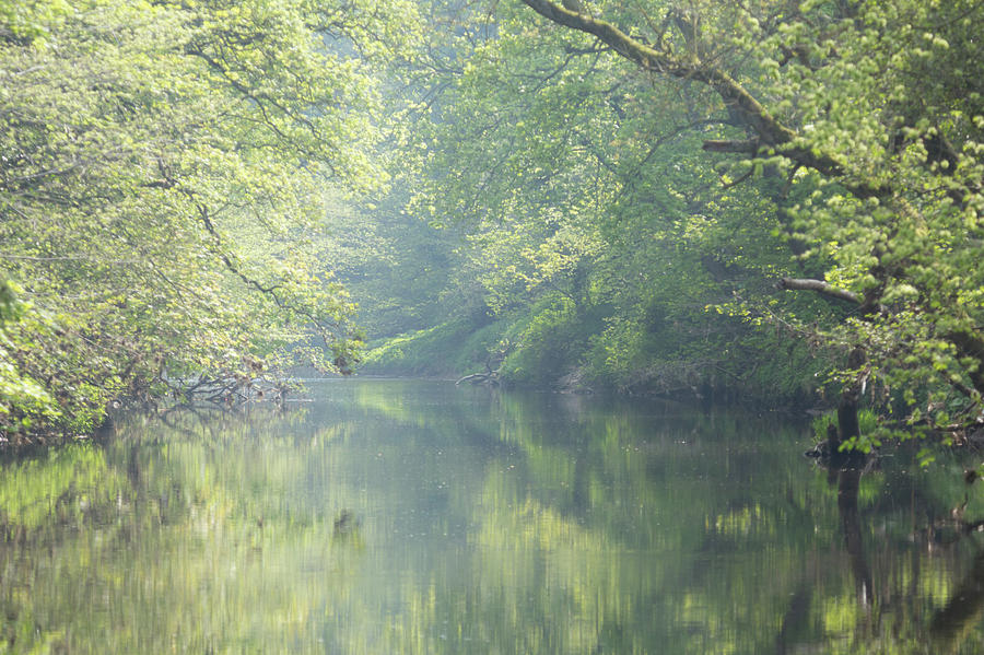 Summer time river and trees - landscape Photograph by Anita Nicholson