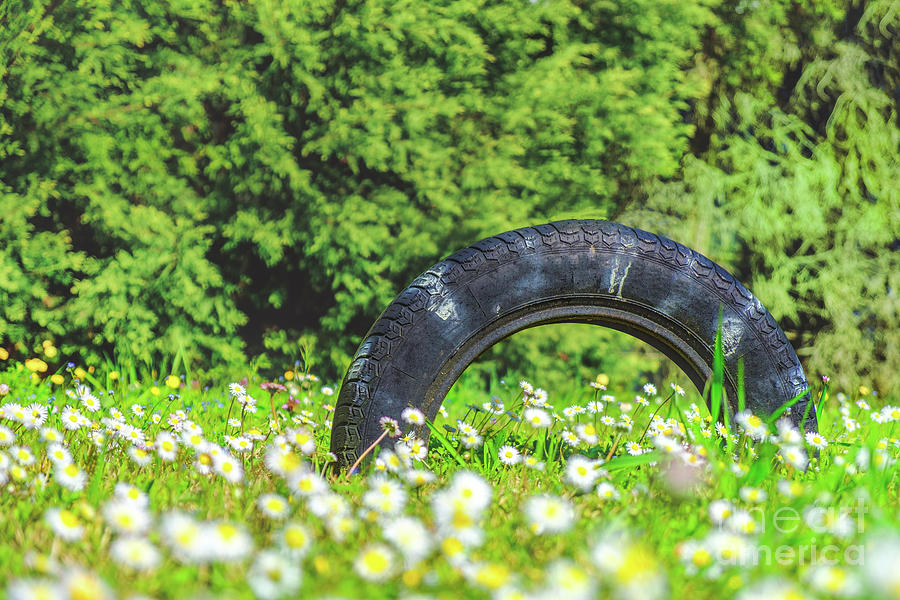 Summer Photograph - Summer Tire Background Tread Worn Nature by Luca Lorenzelli