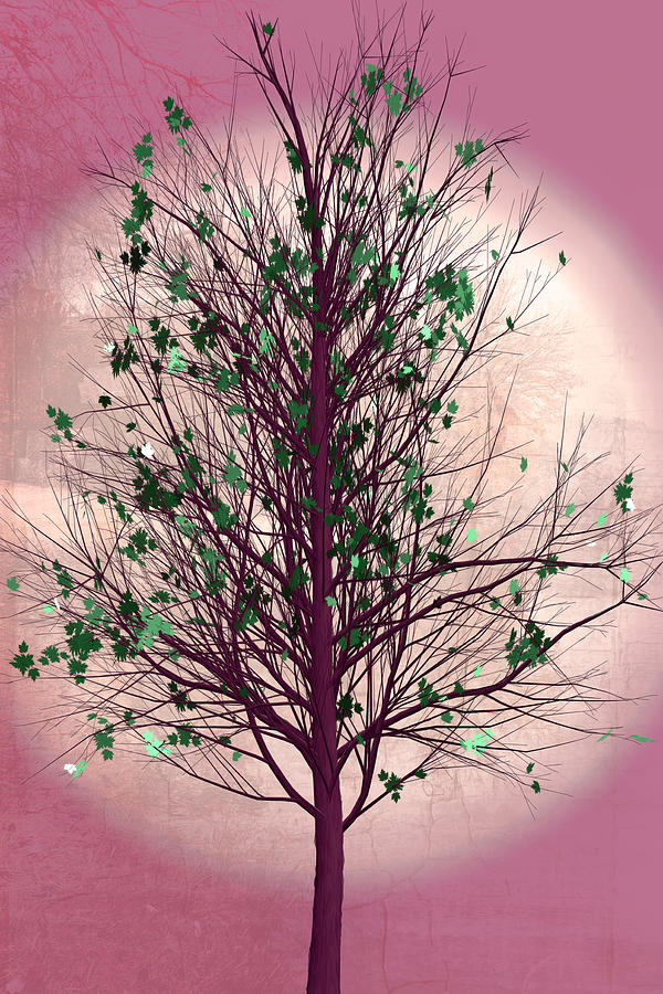 Summer Tree at Daybreak Digital Art by Debra and Dave Vanderlaan
