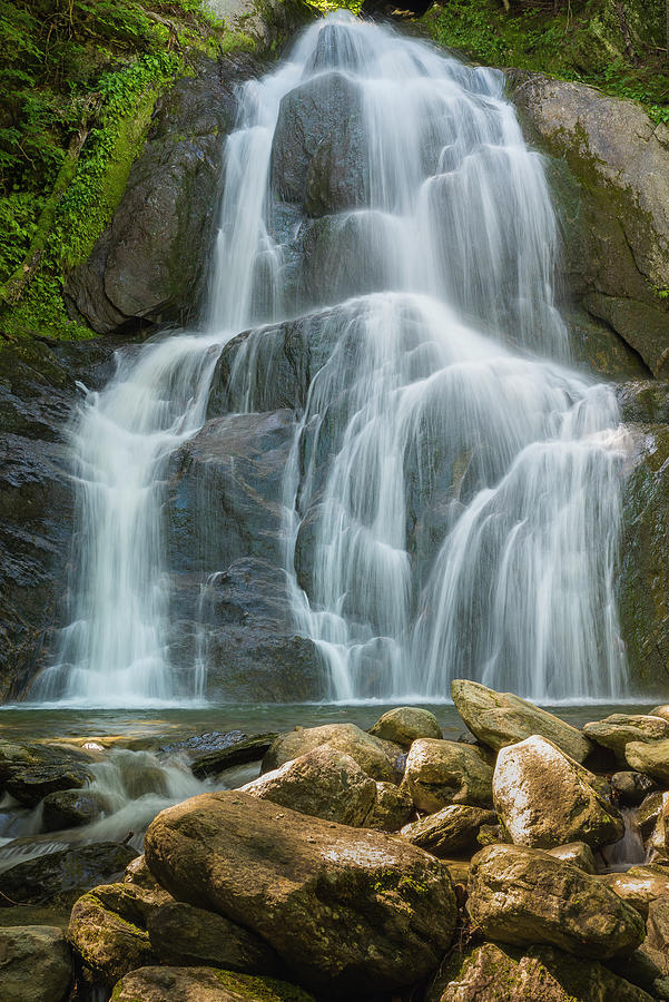 Color Photograph - Summer Waterfall by Brenda Petrella Photography Llc Color Photograph - Summer Waterfall by Brenda Petrella Photography Llc