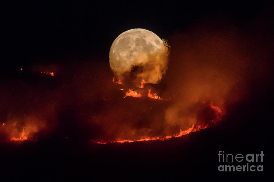 Summer Weather Sparks Wildfire Photograph by Anthony Devlin