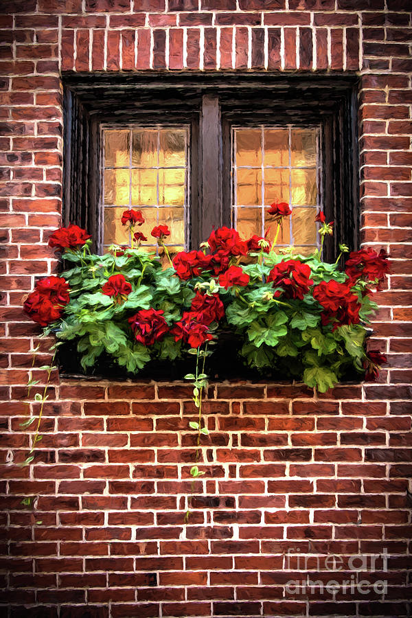 SUMMER WINDOW BOXES painted Photograph by Judy Wolinsky
