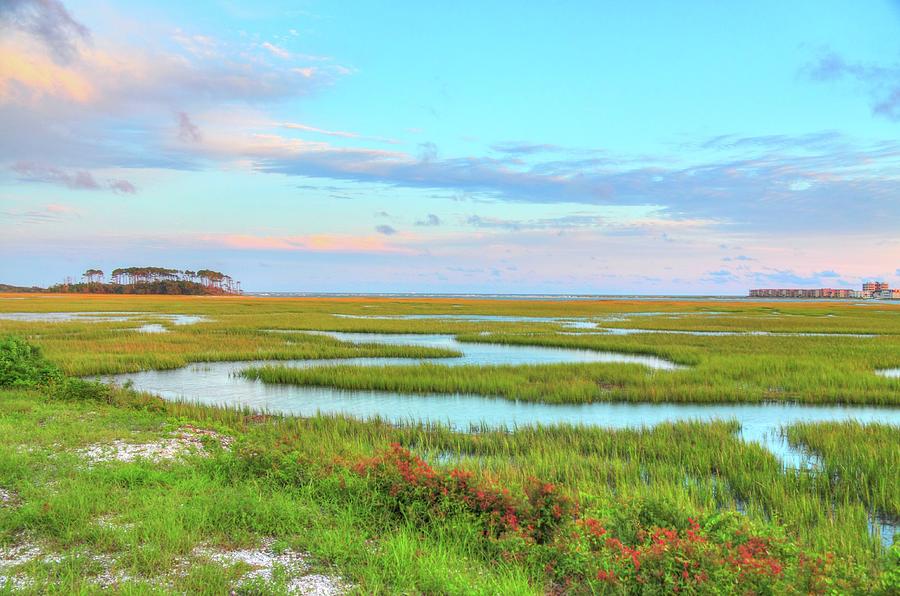 Summers at the Marsh II Photograph by Renee Tollison - Fine Art America