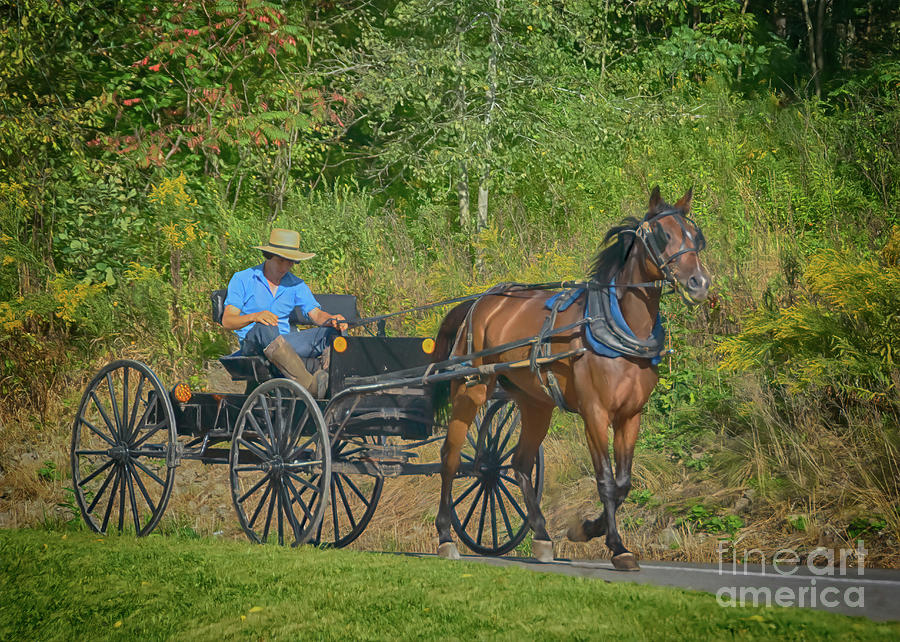 Transportation Photograph - Summers End Amish Boy by Janice Pariza