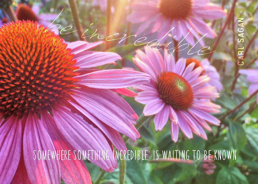 SUMMERS LAST COLOR quote Photograph by JAMART Photography