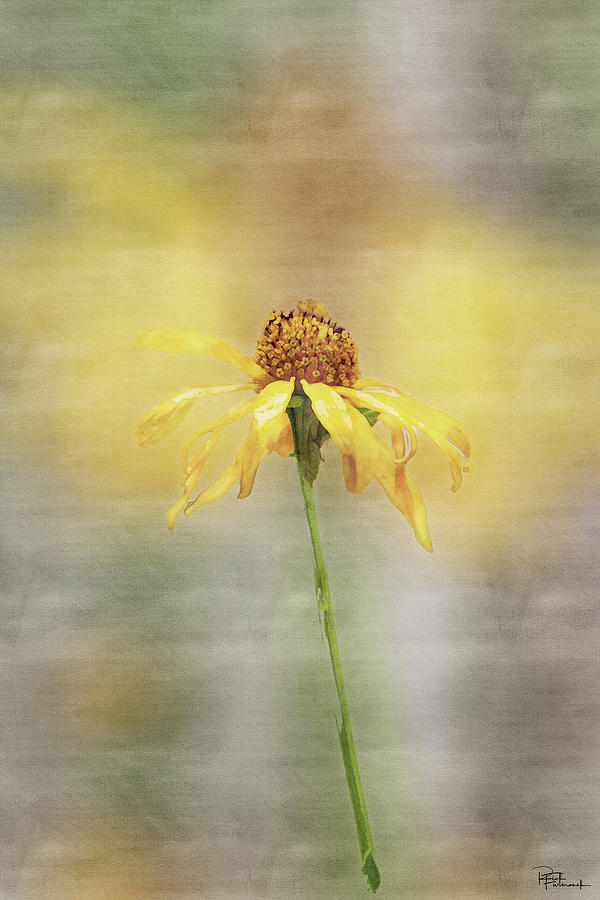 Summer's Reward in Digital Watercolor by Rick Furmanek Summer's Reward in Digital Watercolor by Rick Furmanek