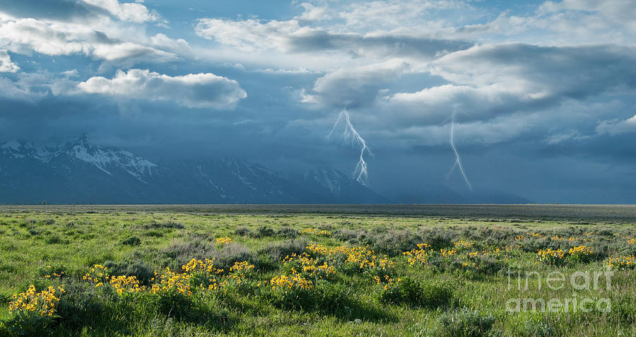 Summer's Storm by Sandra Bronstein Summer's Storm by Sandra Bronstein