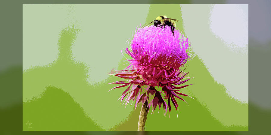 Bumblebee Photograph - Summertime Bumblebee by Andrew Zydell Bumblebee Photograph - Summertime Bumblebee by Andrew Zydell