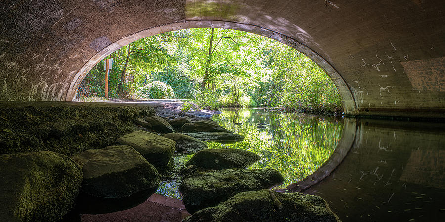 Summertime Tunnel Vision Photograph by John Randazzo