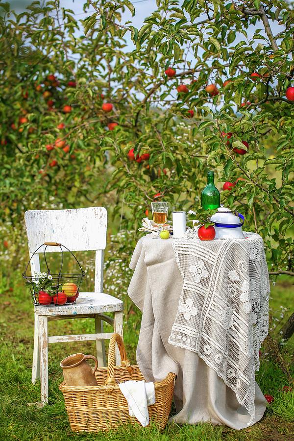 Summery Atmosphere With Set Table In Garden In Front Of Apple Trees Photograph by Sandra Krimshandl-tauscher