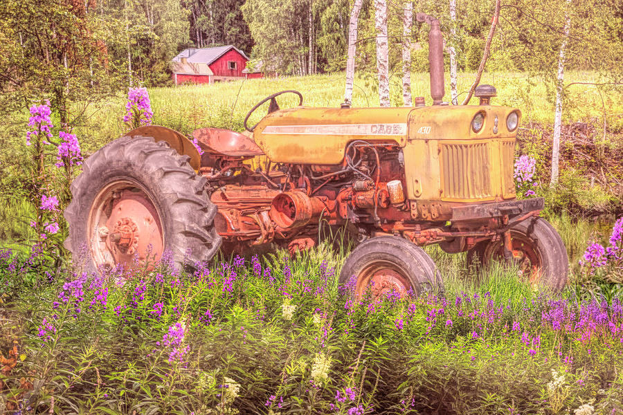 Summery Country Photograph by Debra and Dave Vanderlaan