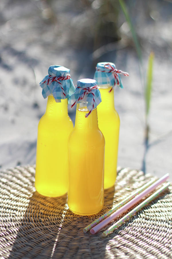 Summery Orange Lemonade On A Garden Table Photograph by Sylvia E.k Photography