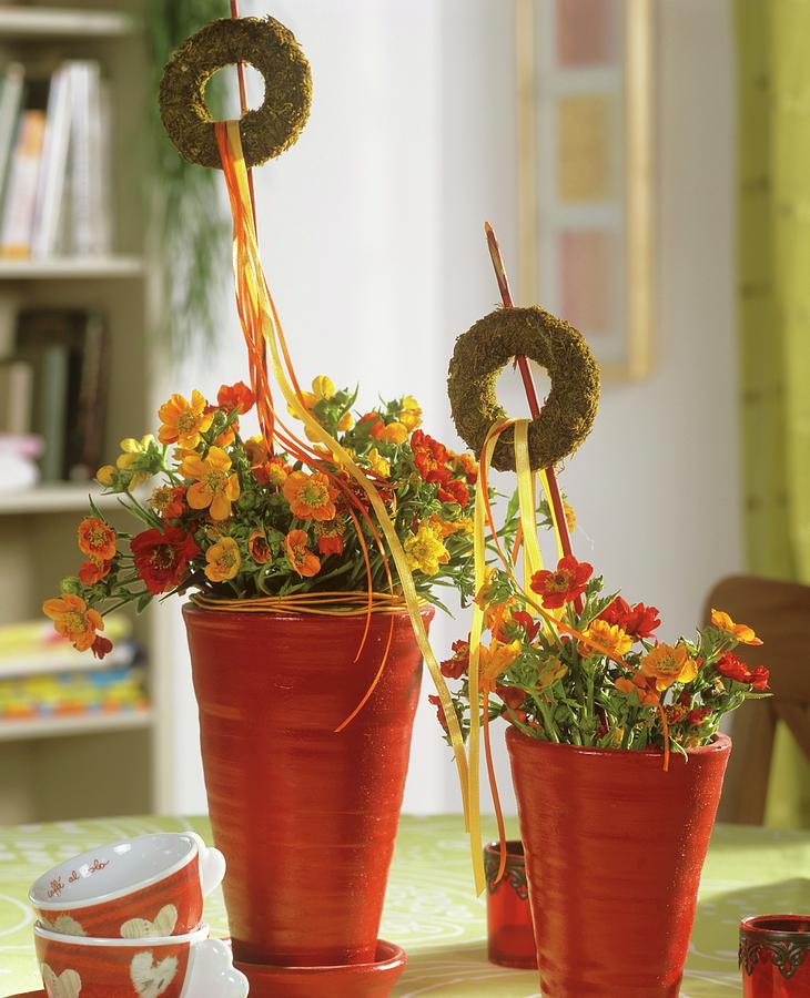 Summery Table Decoration With Geums Photograph by Friedrich Strauss