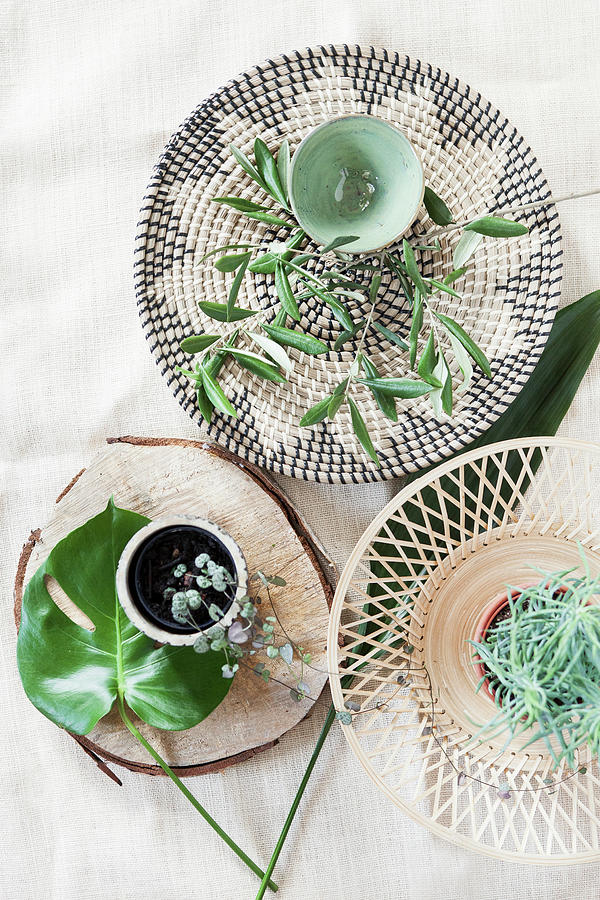 Summery Table Decoration With Mediterranean Greenery Photograph by Hej.hem Interior