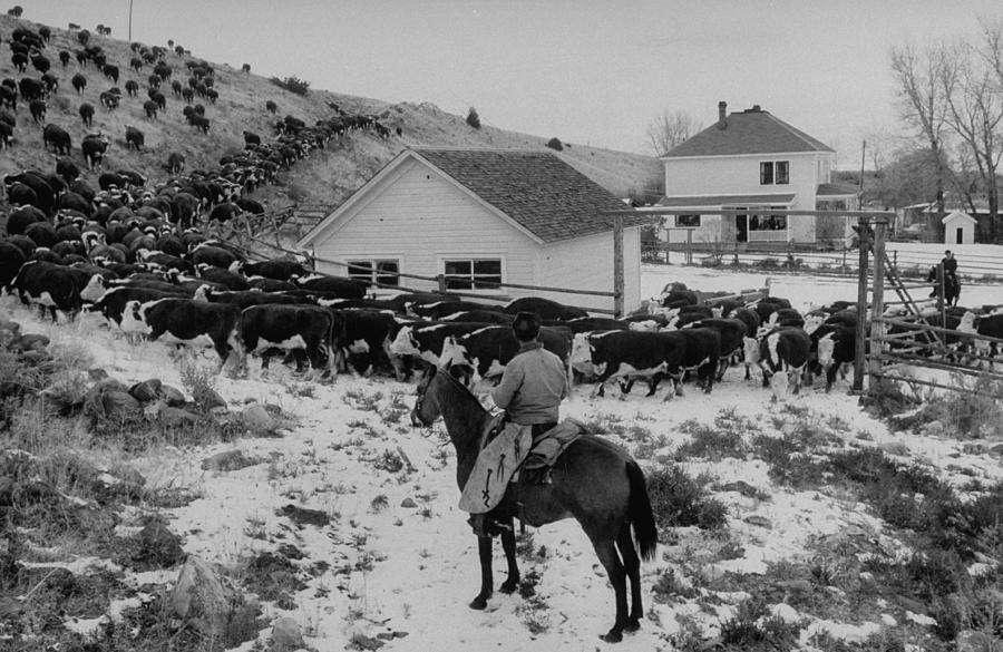 Sumner Gerard Ranch Photograph by Ralph Crane