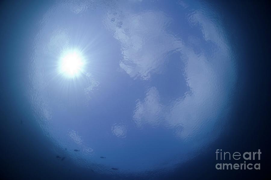 Sun And Clouds Viewed From Underwater Photograph by Scubazoo/science ...