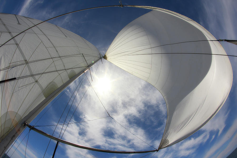 Sun And Sails Photograph by Komisar Sun And Sails Photograph by Komisar