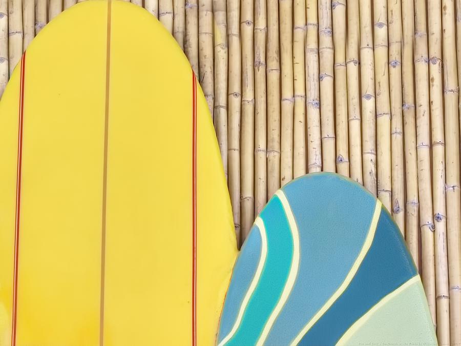 Sun and Surf - Surfboards at the Ready  Photograph by Chrystyne Novack
