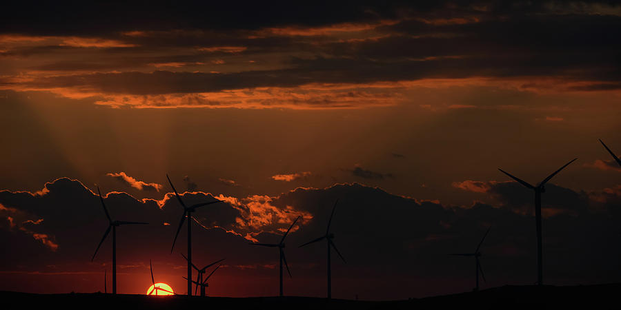 Sun and Windmills by Don Risi Sun and Windmills by Don Risi