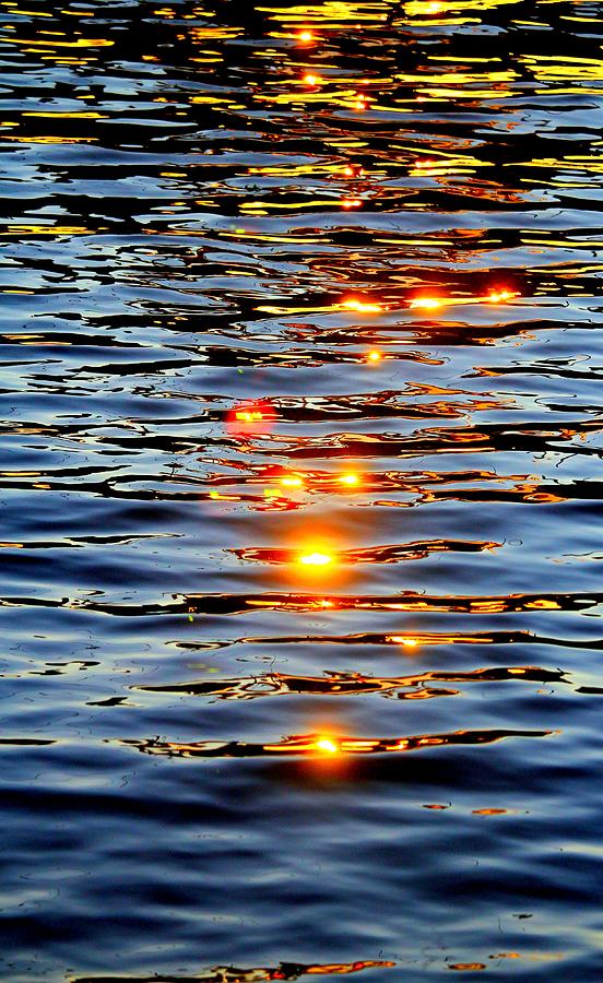 Sun Drops Photograph by Cynthia Guinn
