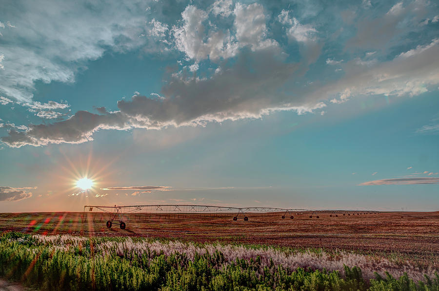 Sun Flaring Photograph by Laura Hedien