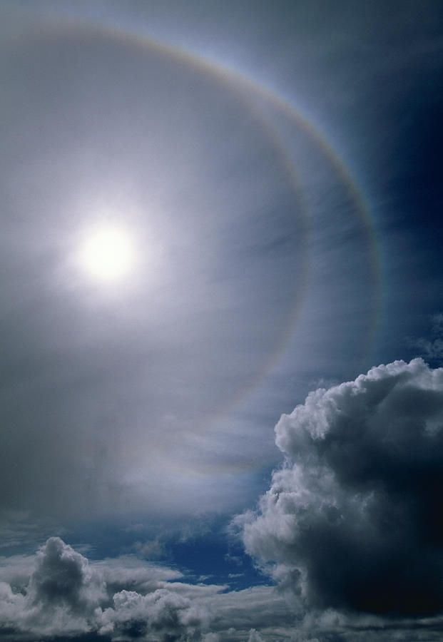 Sun Halos  From Ice Crystals In High Photograph by Nhpa