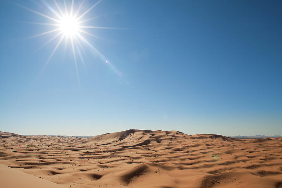 Sun In The Sahara Photograph by Edenexposed