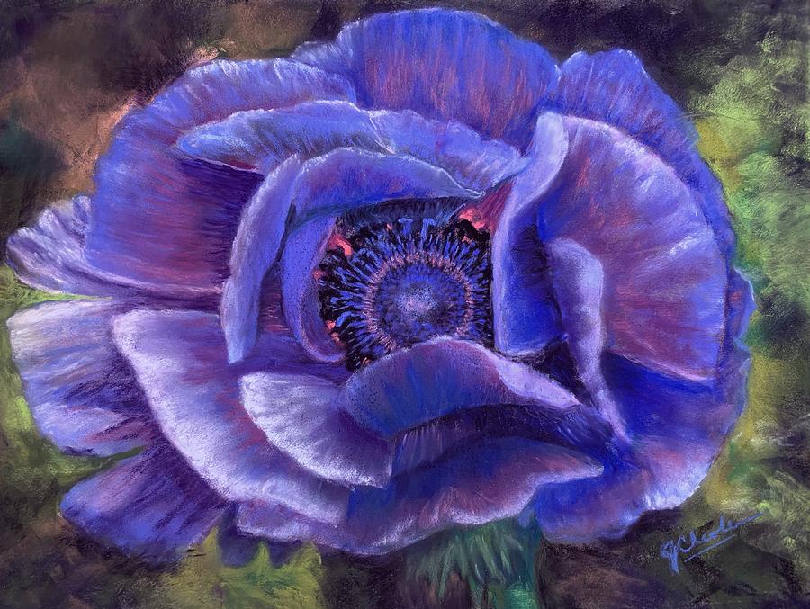 Sun-Kissed Anemone Painting by Jan Chesler
