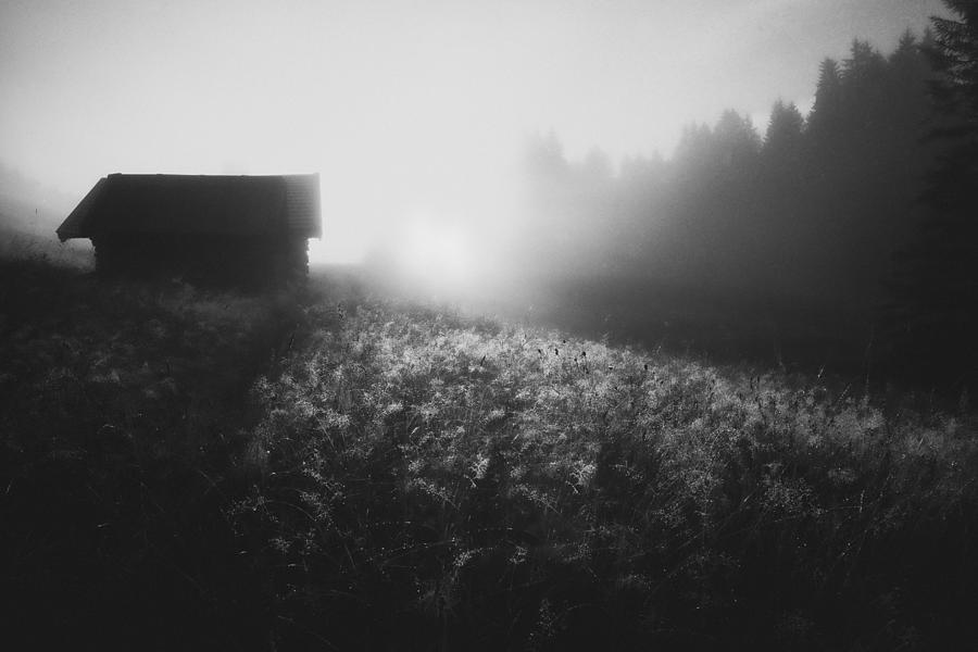 Landscape Photograph - Sun Licks Dew by Roswitha Schleicher-schwarz