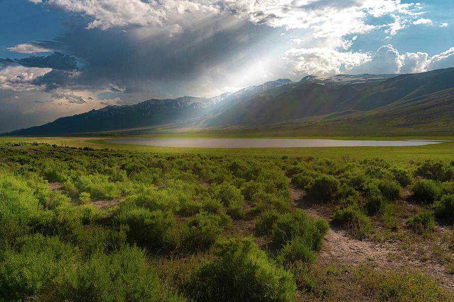 Summer Photograph - Sun Rays In The Valley by Aaron Harris