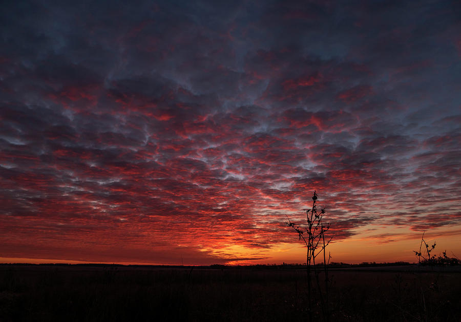 Sun Rise on Land Photograph by Sandra Js