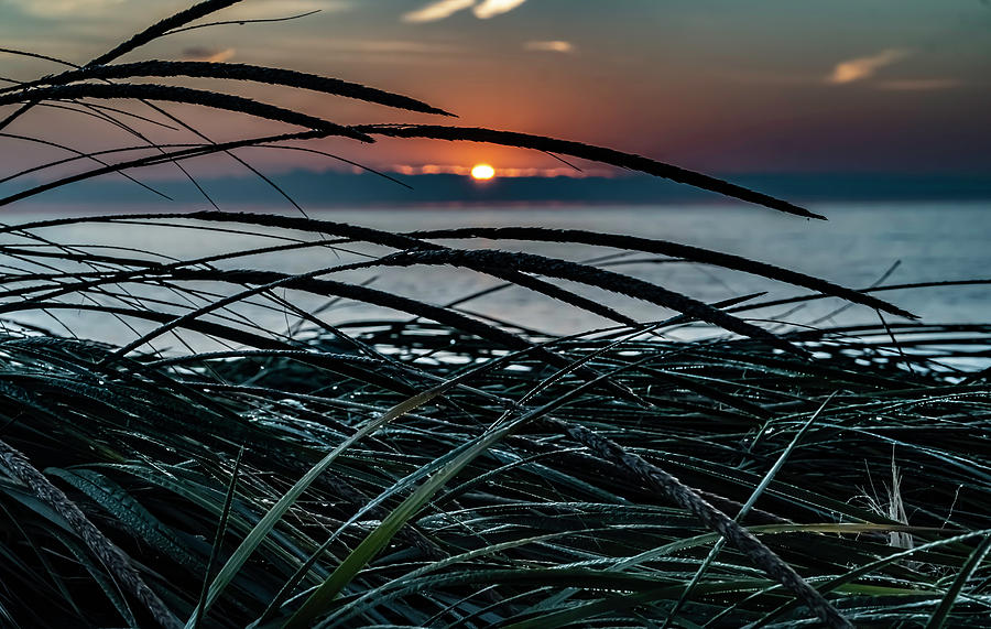 Sun Rise Though Dunes Grass Photograph