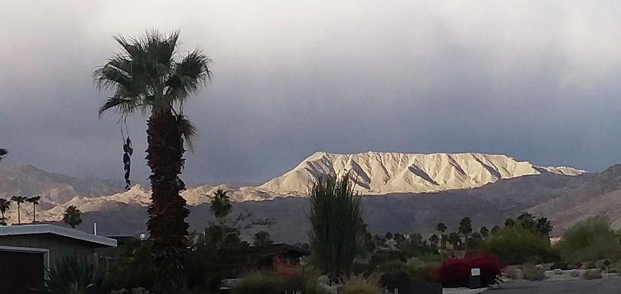 palm desert weather frost