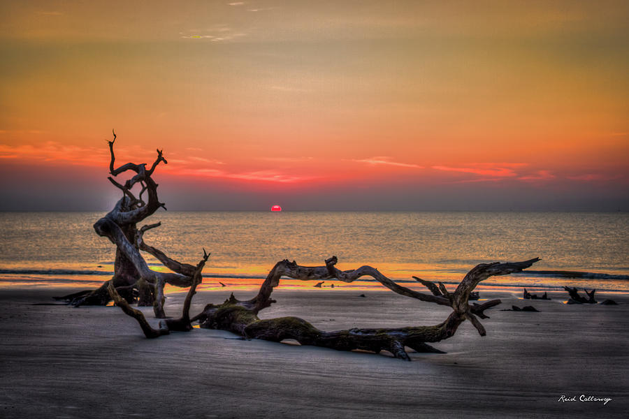 Sun Up Driftwood Beach Sunrise Jekyll Island Georgia Art Photograph by Reid Callaway