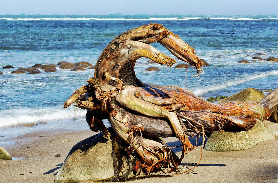 Sunbathing Sea Monster  Digital Art by Kathleen Bishop
