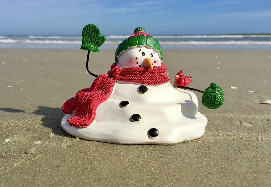 Sunbathing Snowman Photograph by Denise Mazzocco