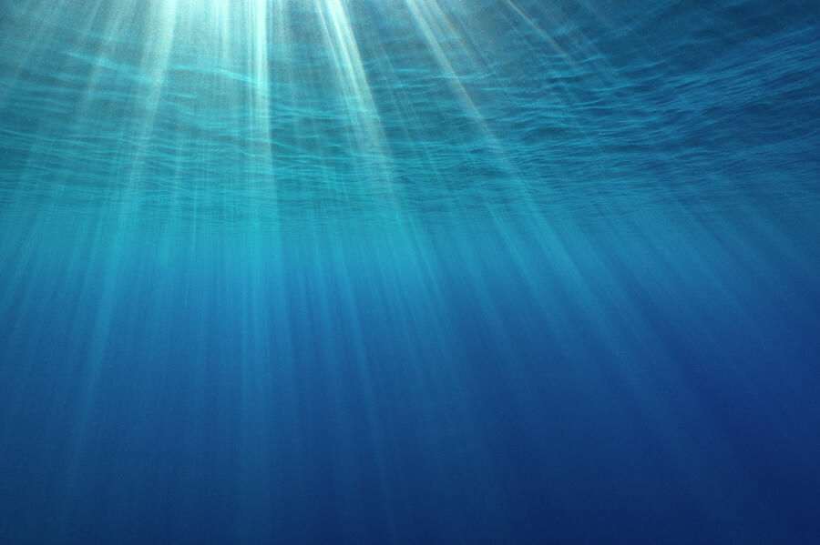 Sunbeams Below The Surface Of The Sea, Guadalupe Island Photograph by ...