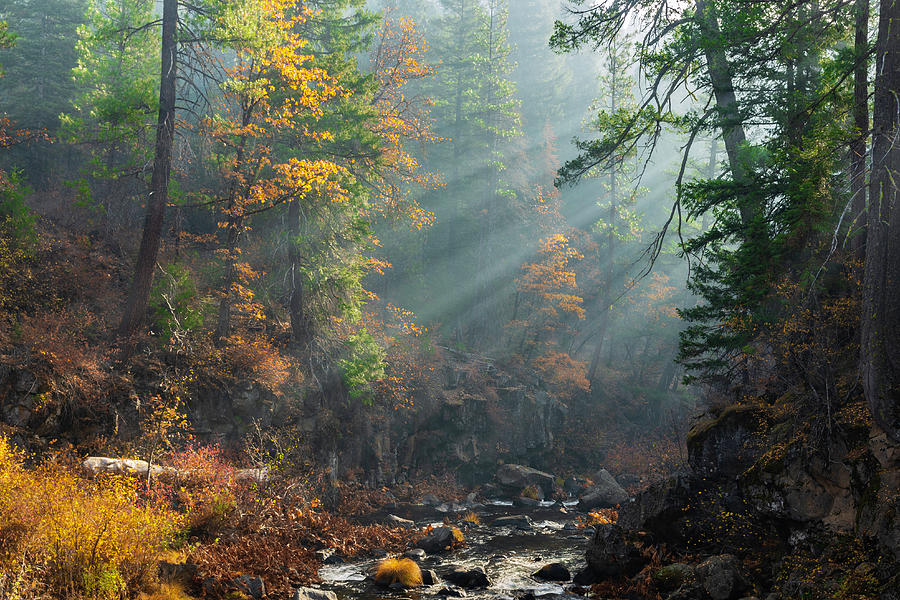 Sunbeams on the McCloud River Photograph by Don Hoekwater Photography