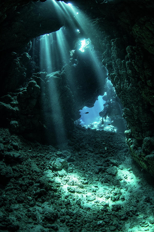 Sunbeams Pour Down Through The Ceiling Photograph by Stocktrek Images ...