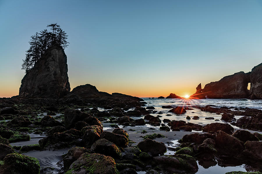 Sunburst at the Beach Photograph by Ed Clark