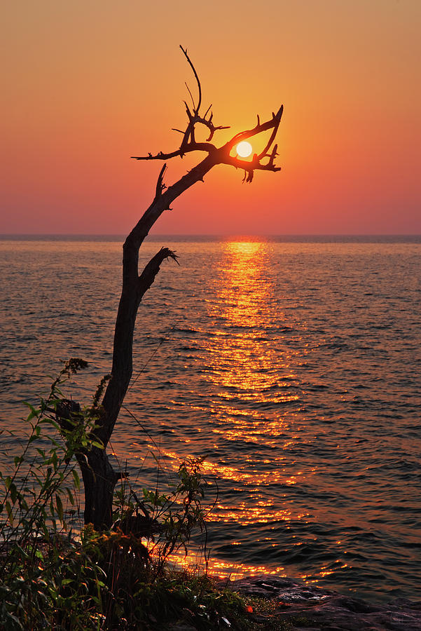 SunCatcher -  Dead tree grasps the rising sun at Cave Point Park in Door County WI Photograph by Peter Herman