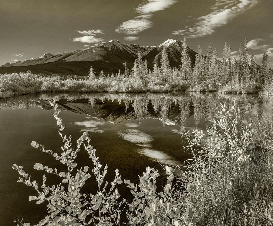 Sundance Range And Vermilion Lakes Photograph by Tim Fitzharris