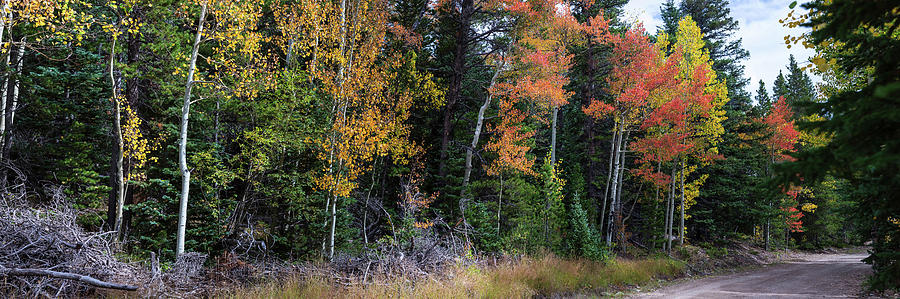 Fall Photograph - Sunday Drive Wide panoramic View by James BO Insogna
