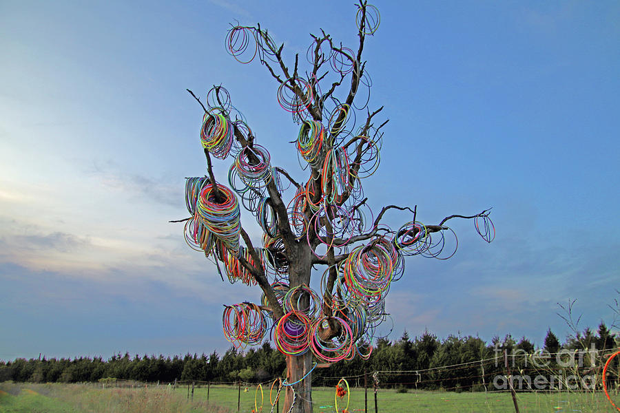 Toy Photograph - Sundown at the Hula Hoop Tree by Nicole Engelhardt