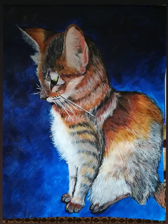 Sundown Cat Painting By Laasya Ramesh - Fine Art America