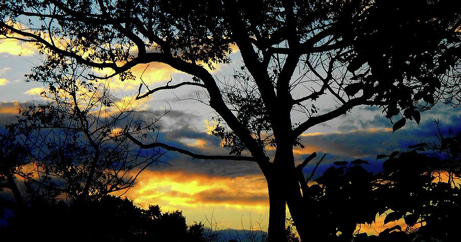 Sundown Photograph by Linda Stern