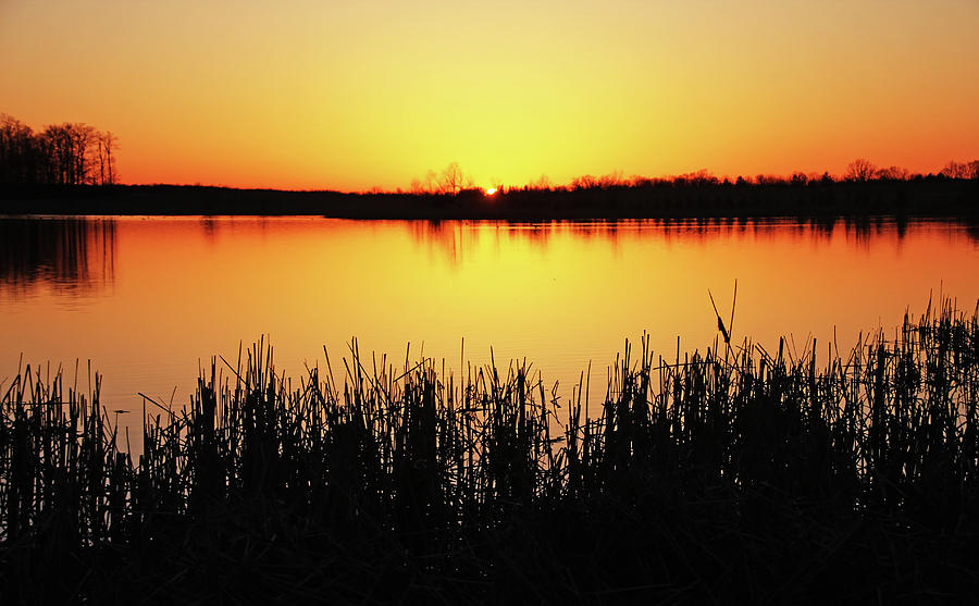 Sundown On The Roadside Pond Photograph by Debbie Oppermann