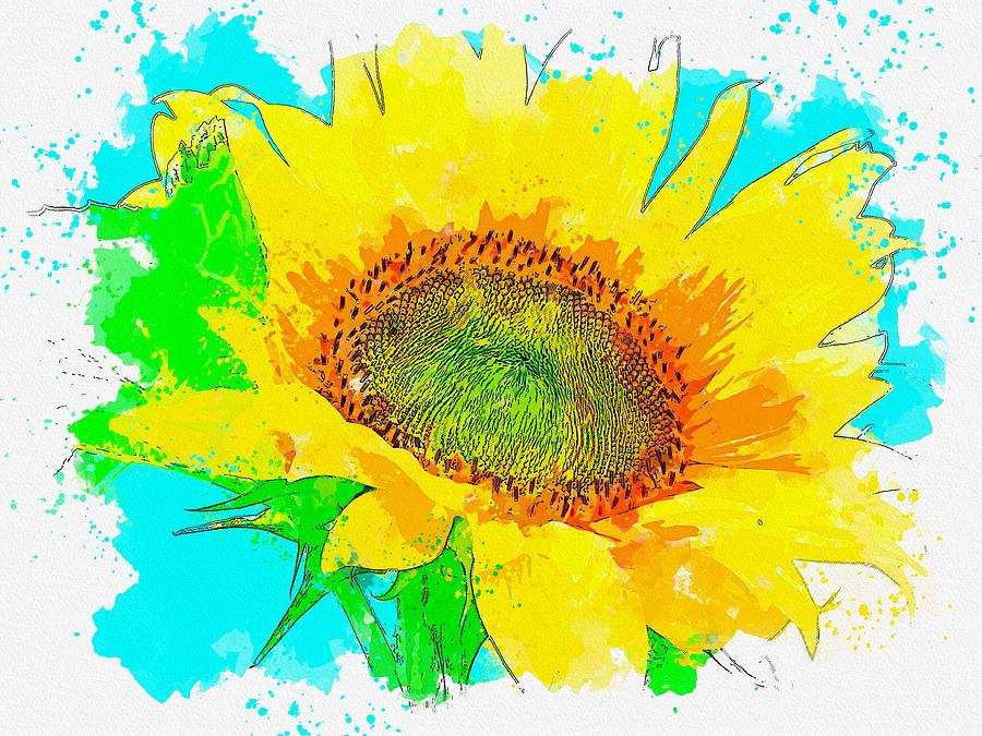 Sunflower 3 watercolor by Ahmet Asar Painting by Celestial Images